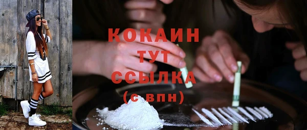 apvp Горнозаводск