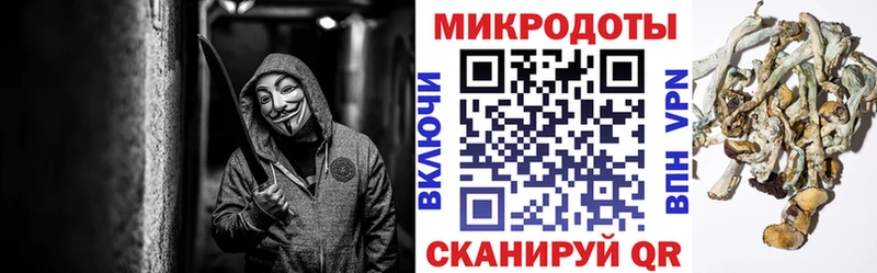 KRAKEN tor  даркнет сайт  Таганрог  Псилоцибиновые грибы Cubensis 
